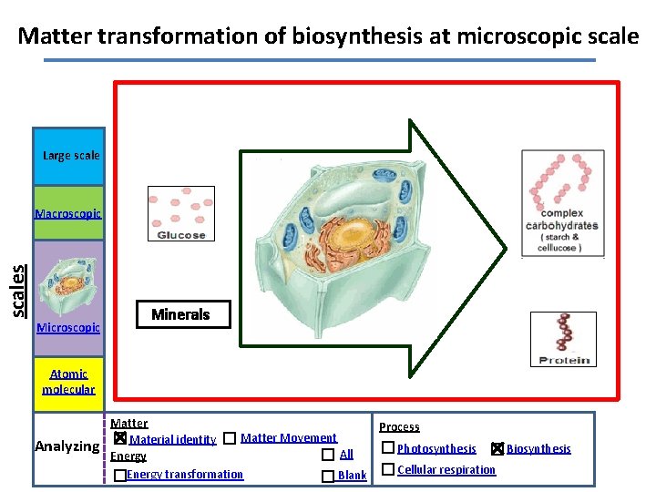 Matter transformation of biosynthesis at microscopic scale Large scales Macroscopic Minerals Atomic molecular Analyzing