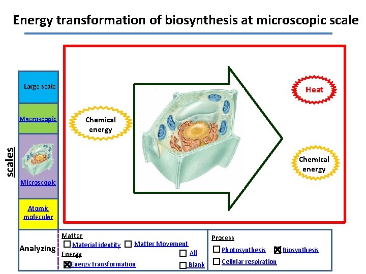 Energy transformation of biosynthesis at microscopic scale Large scales Macroscopic Heat Chemical energy Microscopic