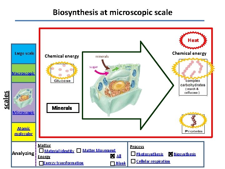 Biosynthesis at microscopic scale Heat Large scale Chemical energy scales Macroscopic Minerals Atomic molecular