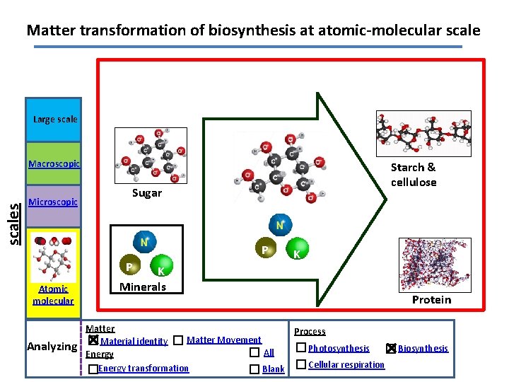 Matter transformation of biosynthesis at atomic-molecular scale Large scales Macroscopic Microscopic Starch & cellulose