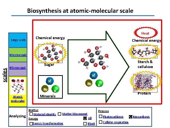 Biosynthesis at atomic-molecular scale Large scale Heat Chemical energy scales Macroscopic Microscopic Starch &