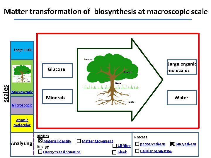 Matter transformation of biosynthesis at macroscopic scales Large scale Macroscopic Glucose Large organic molecules