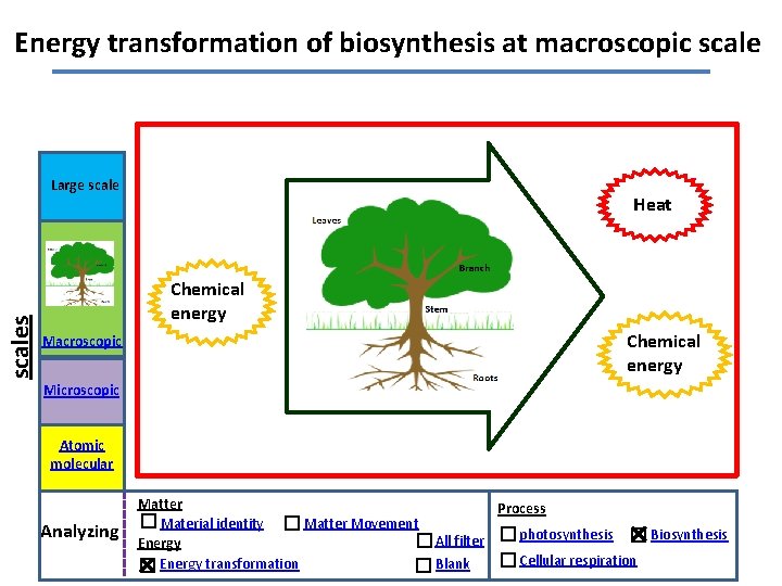 Energy transformation of biosynthesis at macroscopic scales Large scale Heat Chemical energy Macroscopic Microscopic