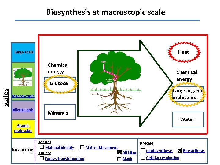 Biosynthesis at macroscopic scale Heat Large scale Chemical energy scales Glucose Large organic molecules