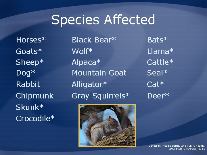 Species Affected Horses* Black Bear* Bats* Goats* Sheep* Dog* Wolf* Alpaca* Mountain Goat Llama*