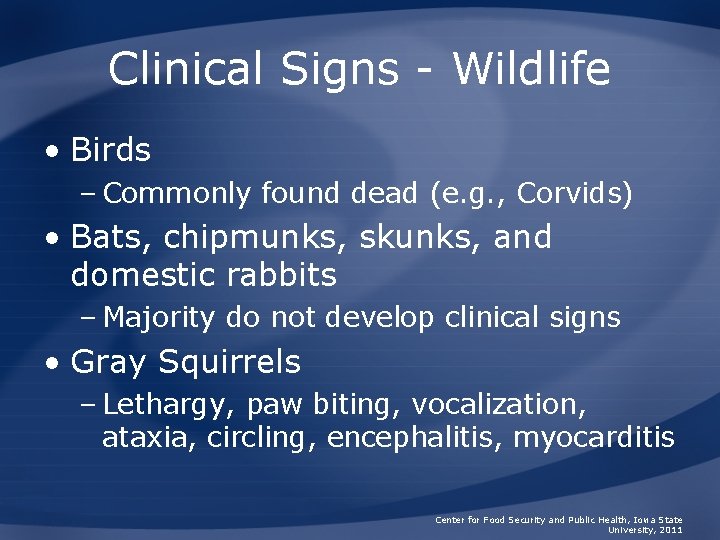 Clinical Signs - Wildlife • Birds – Commonly found dead (e. g. , Corvids)