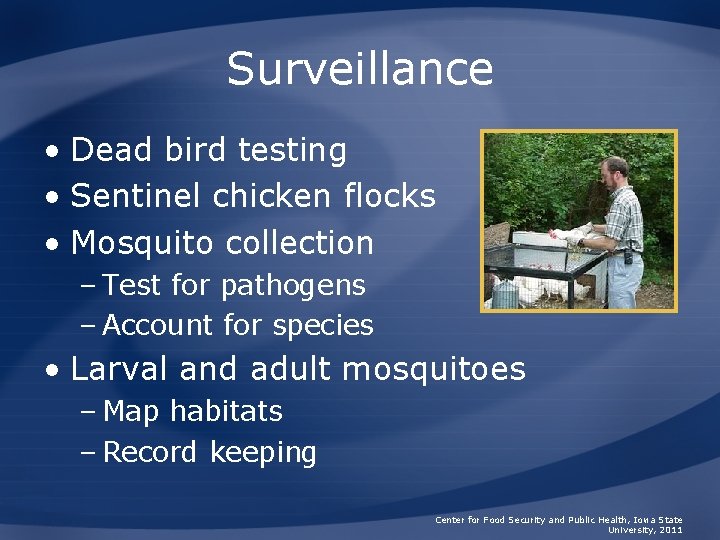 Surveillance • Dead bird testing • Sentinel chicken flocks • Mosquito collection – Test