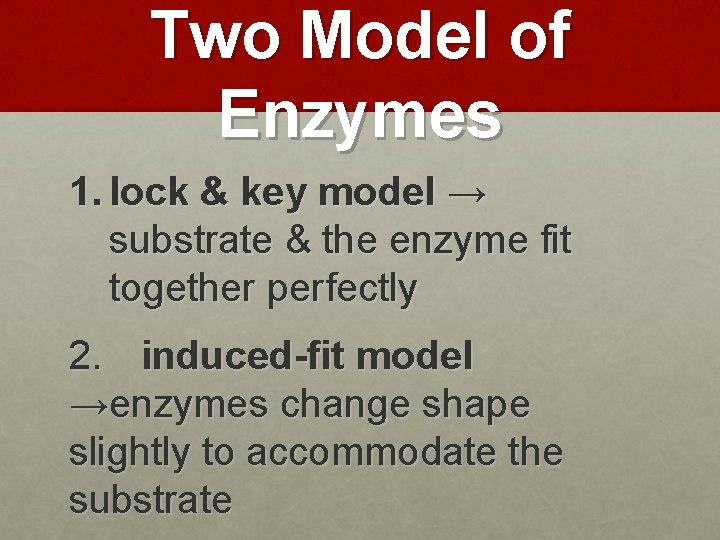 Two Model of Enzymes 1. lock & key model → substrate & the enzyme