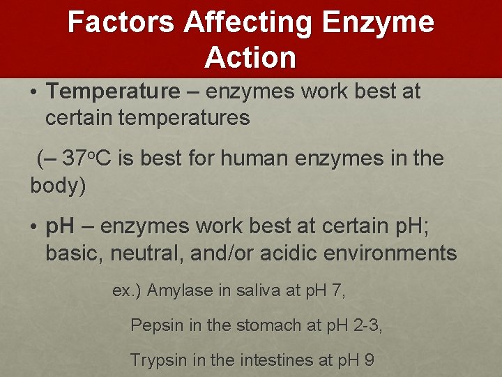 Factors Affecting Enzyme Action • Temperature – enzymes work best at certain temperatures (–