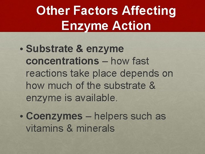 Other Factors Affecting Enzyme Action • Substrate & enzyme concentrations – how fast reactions