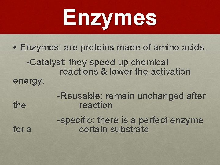 Enzymes • Enzymes: are proteins made of amino acids. -Catalyst: they speed up chemical
