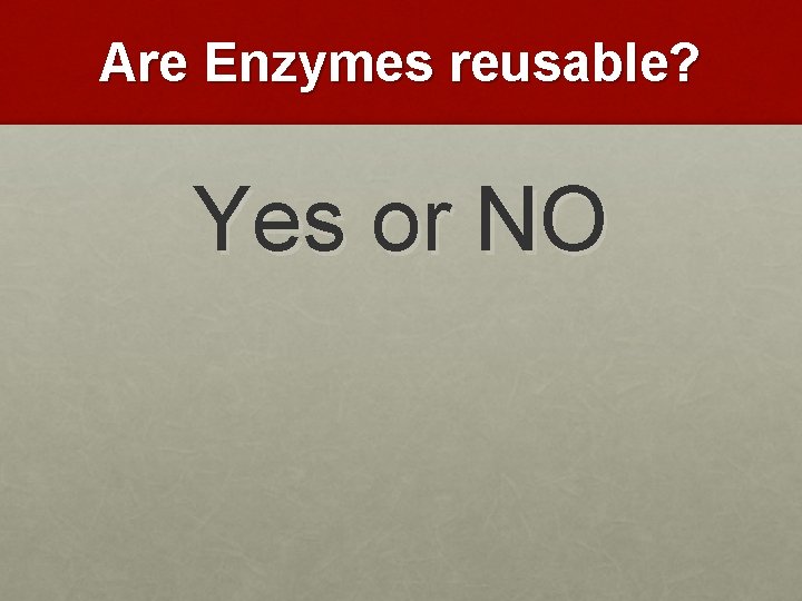 Are Enzymes reusable? Yes or NO 