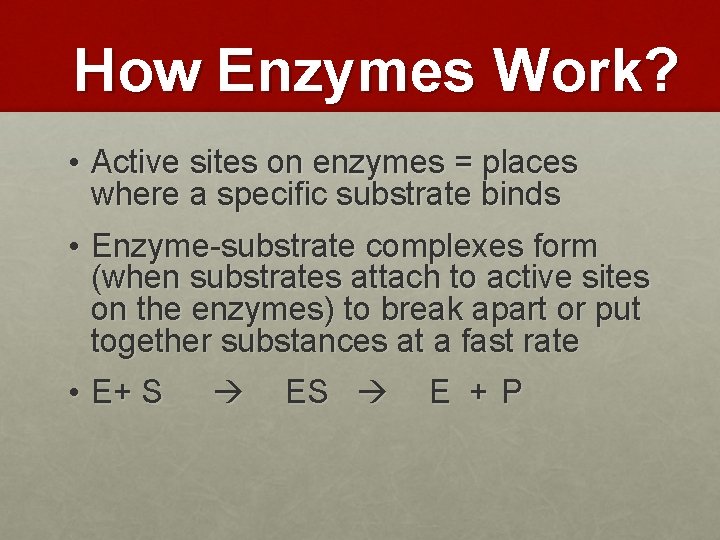 How Enzymes Work? • Active sites on enzymes = places where a specific substrate