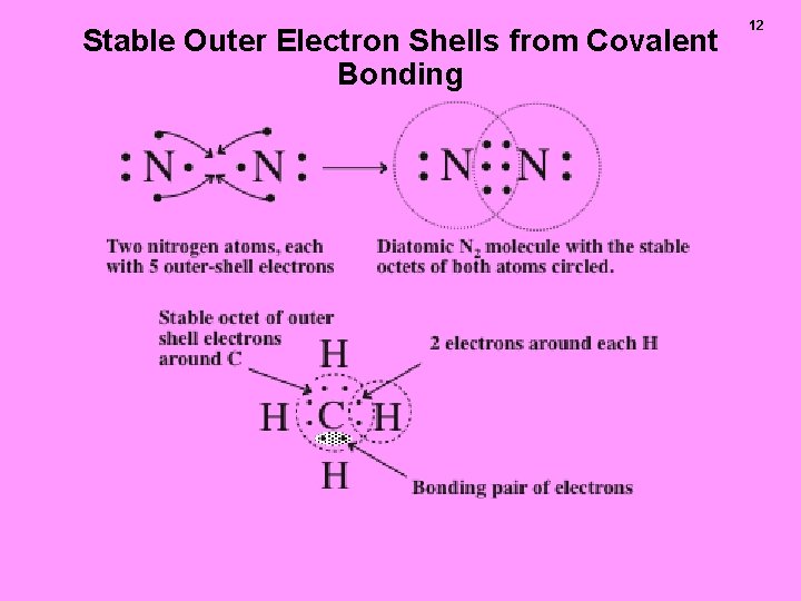 Stable Outer Electron Shells from Covalent Bonding 12 