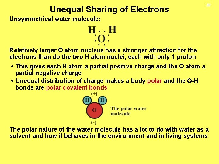 Unequal Sharing of Electrons 38 Unsymmetrical water molecule: Relatively larger O atom nucleus has