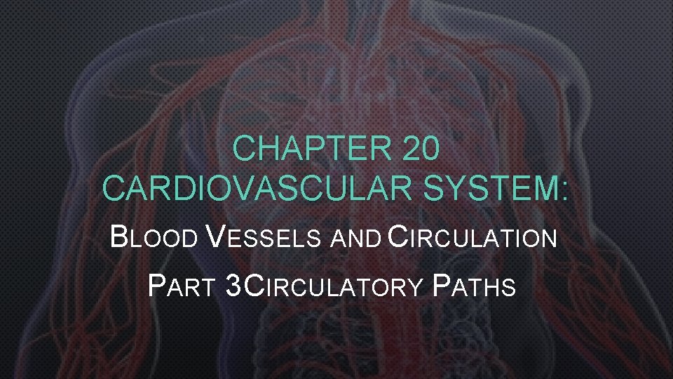 CHAPTER 20 CARDIOVASCULAR SYSTEM: BLOOD VESSELS AND CIRCULATION PART 3 CIRCULATORY PATHS 