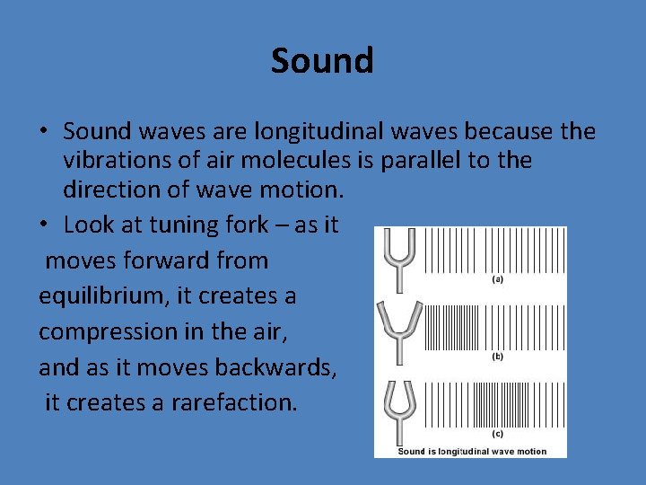 Sound • Sound waves are longitudinal waves because the vibrations of air molecules is