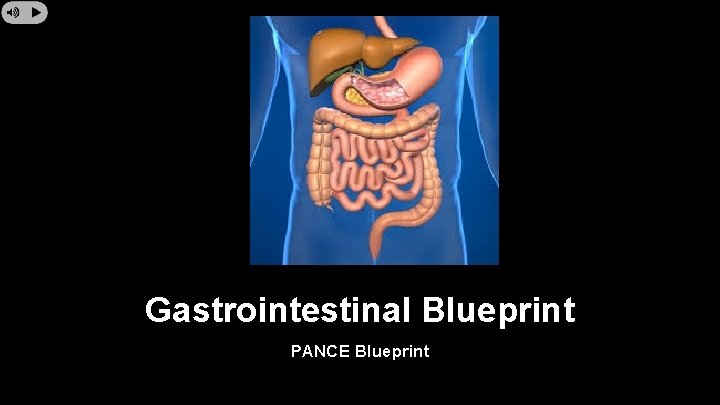 Gastrointestinal Blueprint PANCE Blueprint 