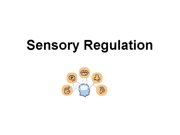 Sensory Regulation 