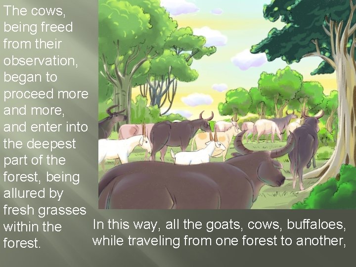 The cows, being freed from their observation, began to proceed more and more, and