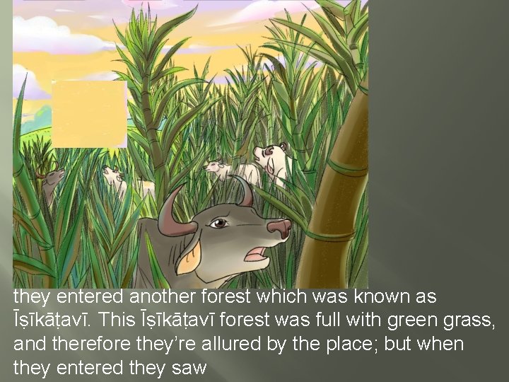 they entered another forest which was known as Īṣīkāṭavī. This Īṣīkāṭavī forest was full