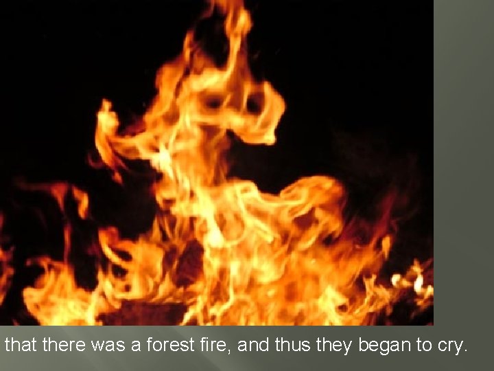 that there was a forest fire, and thus they began to cry. 