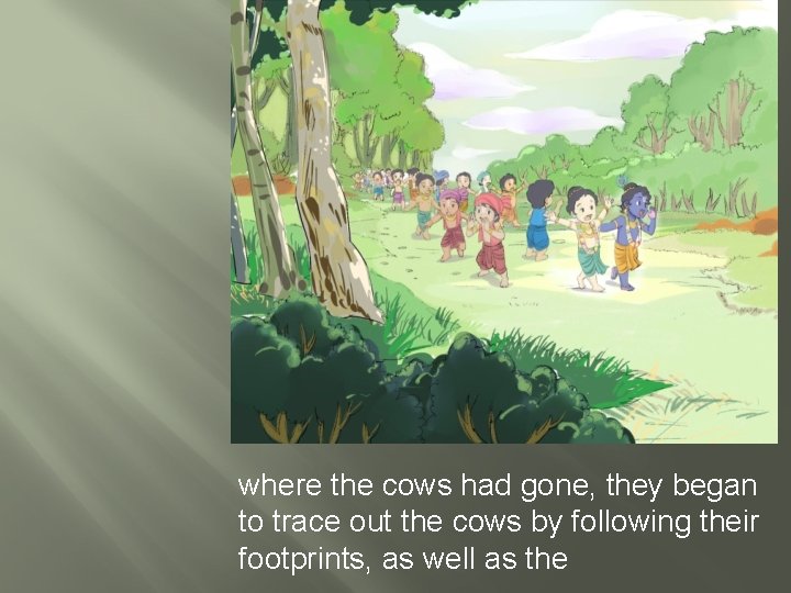 where the cows had gone, they began to trace out the cows by following