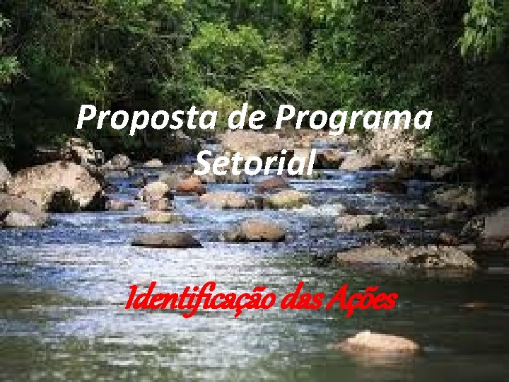 Proposta de Programa Setorial Identificação das Ações 