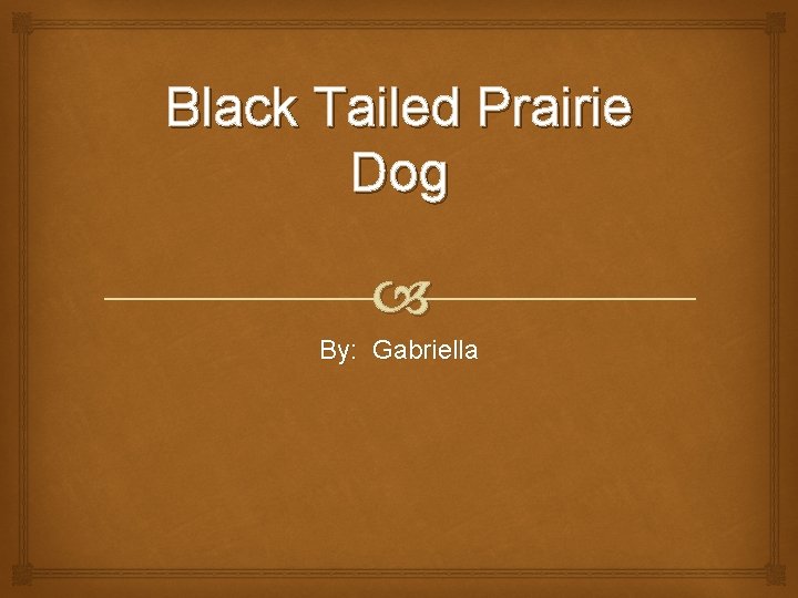 Black Tailed Prairie Dog By: Gabriella 