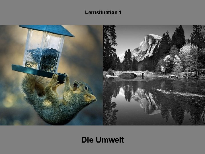 Lernsituation 1 Die Umwelt 