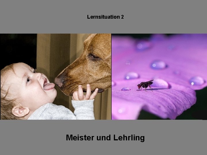 Lernsituation 2 Meister und Lehrling 