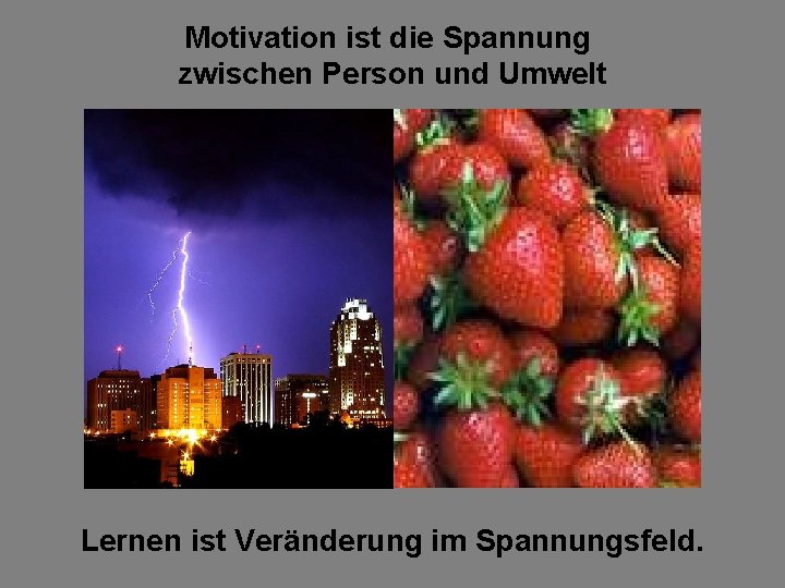 Motivation ist die Spannung zwischen Person und Umwelt Lernen ist Veränderung im Spannungsfeld. 