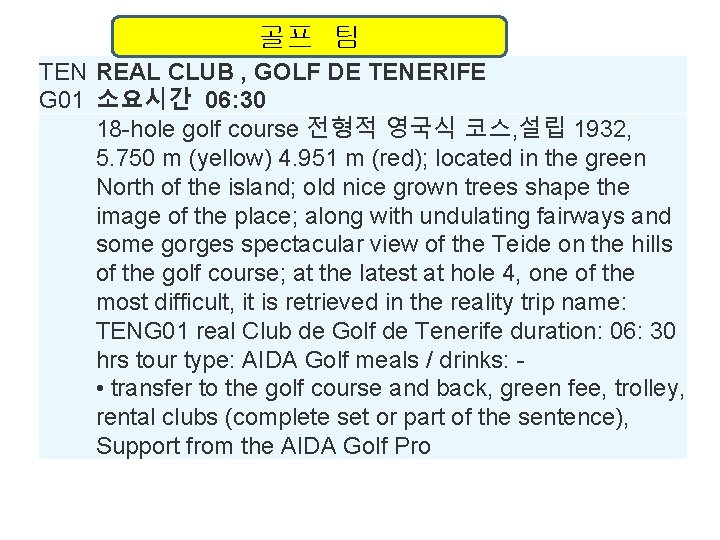 골프 팀 TEN REAL CLUB , GOLF DE TENERIFE G 01 소요시간 06: 30