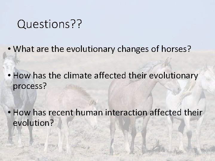 Questions? ? • What are the evolutionary changes of horses? • How has the