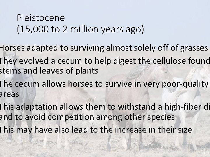 Pleistocene (15, 000 to 2 million years ago) Horses adapted to surviving almost solely Pleistocene (15, 000 to 2 million years ago) Horses adapted to surviving almost solely