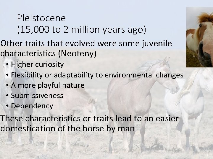 Pleistocene (15, 000 to 2 million years ago) Other traits that evolved were some Pleistocene (15, 000 to 2 million years ago) Other traits that evolved were some