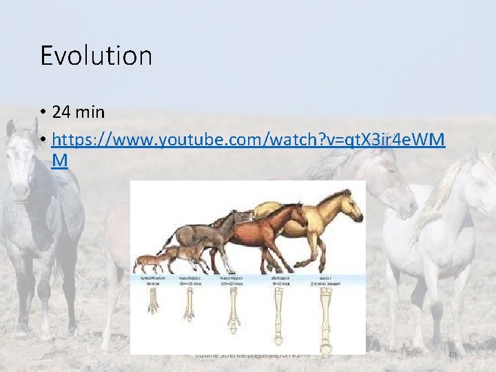 Evolution • 24 min • https: //www. youtube. com/watch? v=qt. X 3 ir 4 Evolution • 24 min • https: //www. youtube. com/watch? v=qt. X 3 ir 4