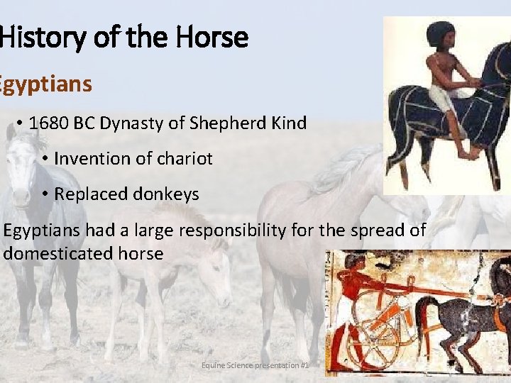 History of the Horse Egyptians • 1680 BC Dynasty of Shepherd Kind • Invention