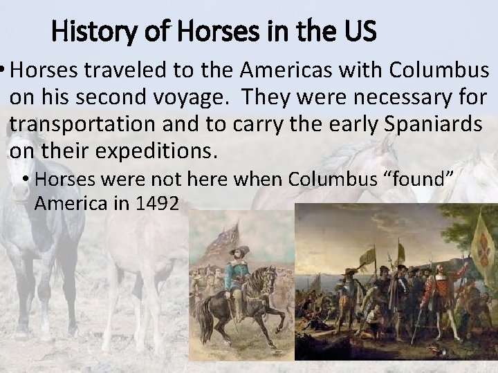 History of Horses in the US • Horses traveled to the Americas with Columbus