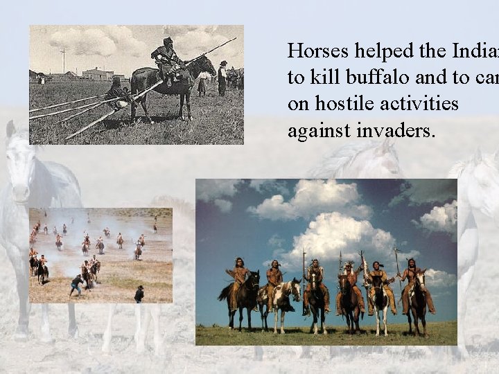 Horses helped the Indian to kill buffalo and to car on hostile activities against Horses helped the Indian to kill buffalo and to car on hostile activities against