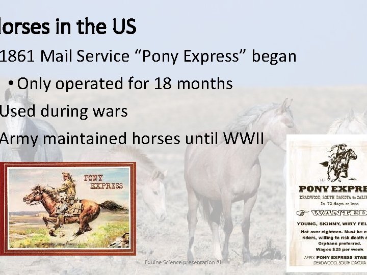 Horses in the US 1861 Mail Service “Pony Express” began • Only operated for