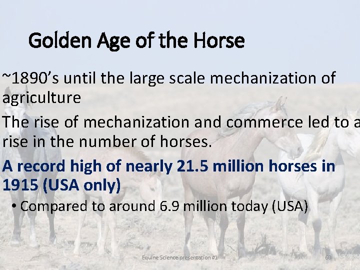 Golden Age of the Horse ~1890’s until the large scale mechanization of agriculture The Golden Age of the Horse ~1890’s until the large scale mechanization of agriculture The