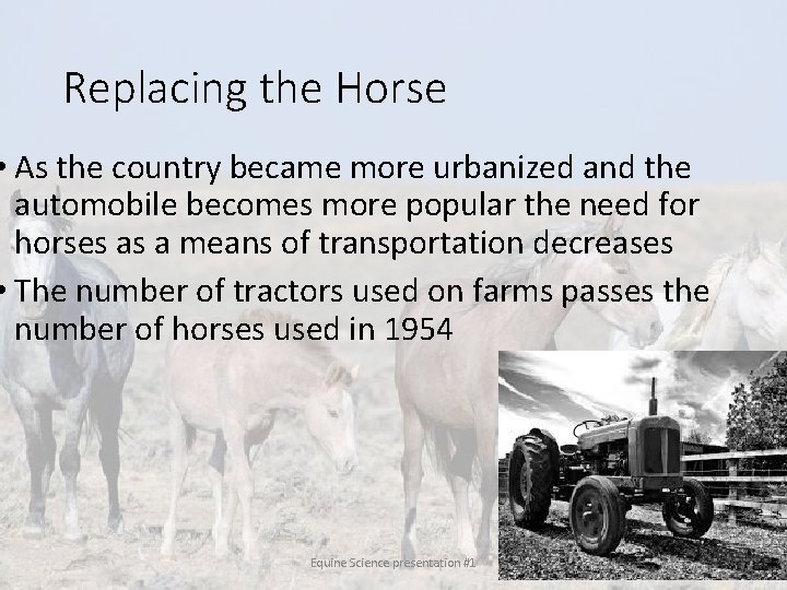 Replacing the Horse • As the country became more urbanized and the automobile becomes