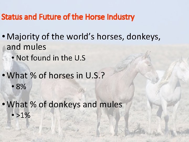 Status and Future of the Horse Industry • Majority of the world’s horses, donkeys,