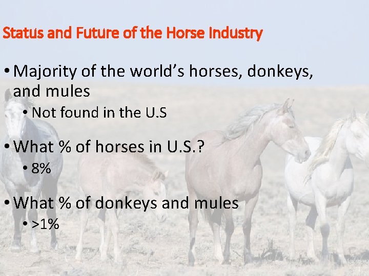 Status and Future of the Horse Industry • Majority of the world’s horses, donkeys, Status and Future of the Horse Industry • Majority of the world’s horses, donkeys,