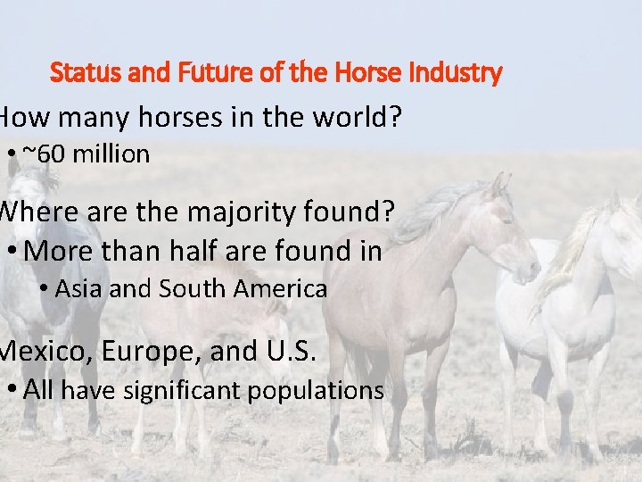Status and Future of the Horse Industry How many horses in the world? •