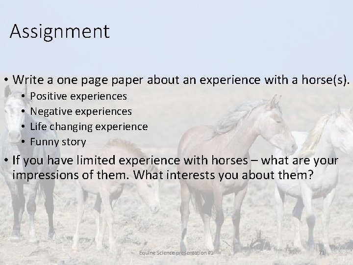 Assignment • Write a one page paper about an experience with a horse(s). •
