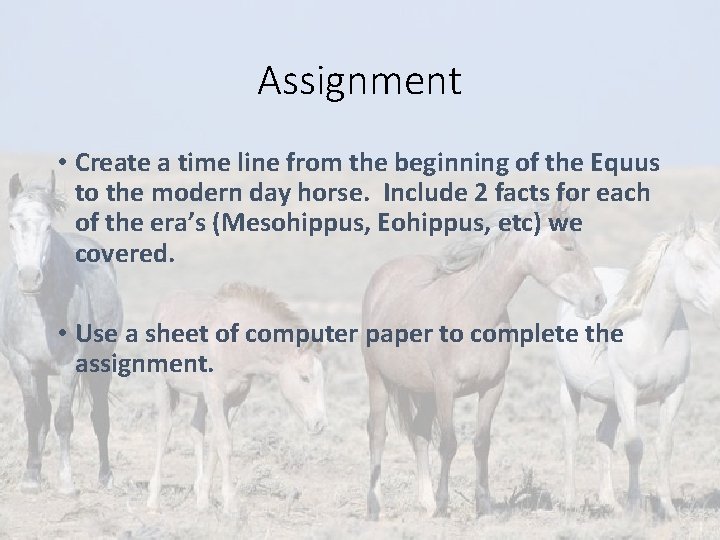 Assignment • Create a time line from the beginning of the Equus to the