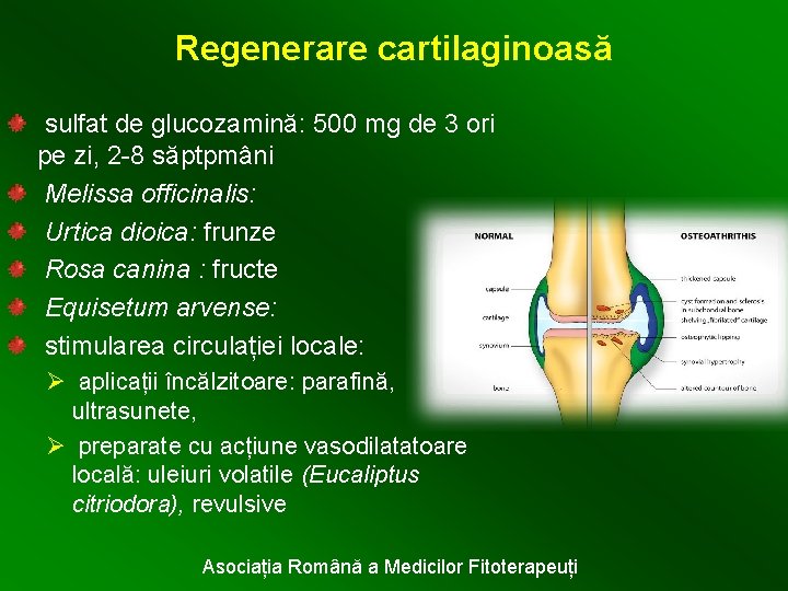 Regenerare cartilaginoasă sulfat de glucozamină: 500 mg de 3 ori pe zi, 2 -8