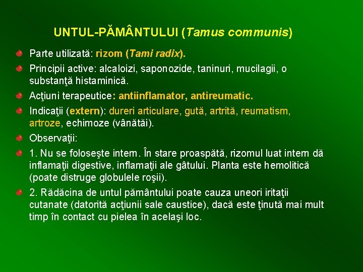 UNTUL-PĂM NTULUI (Tamus communis) Parte utilizată: rizom (Tami radix). Principii active: alcaloizi, saponozide, taninuri,